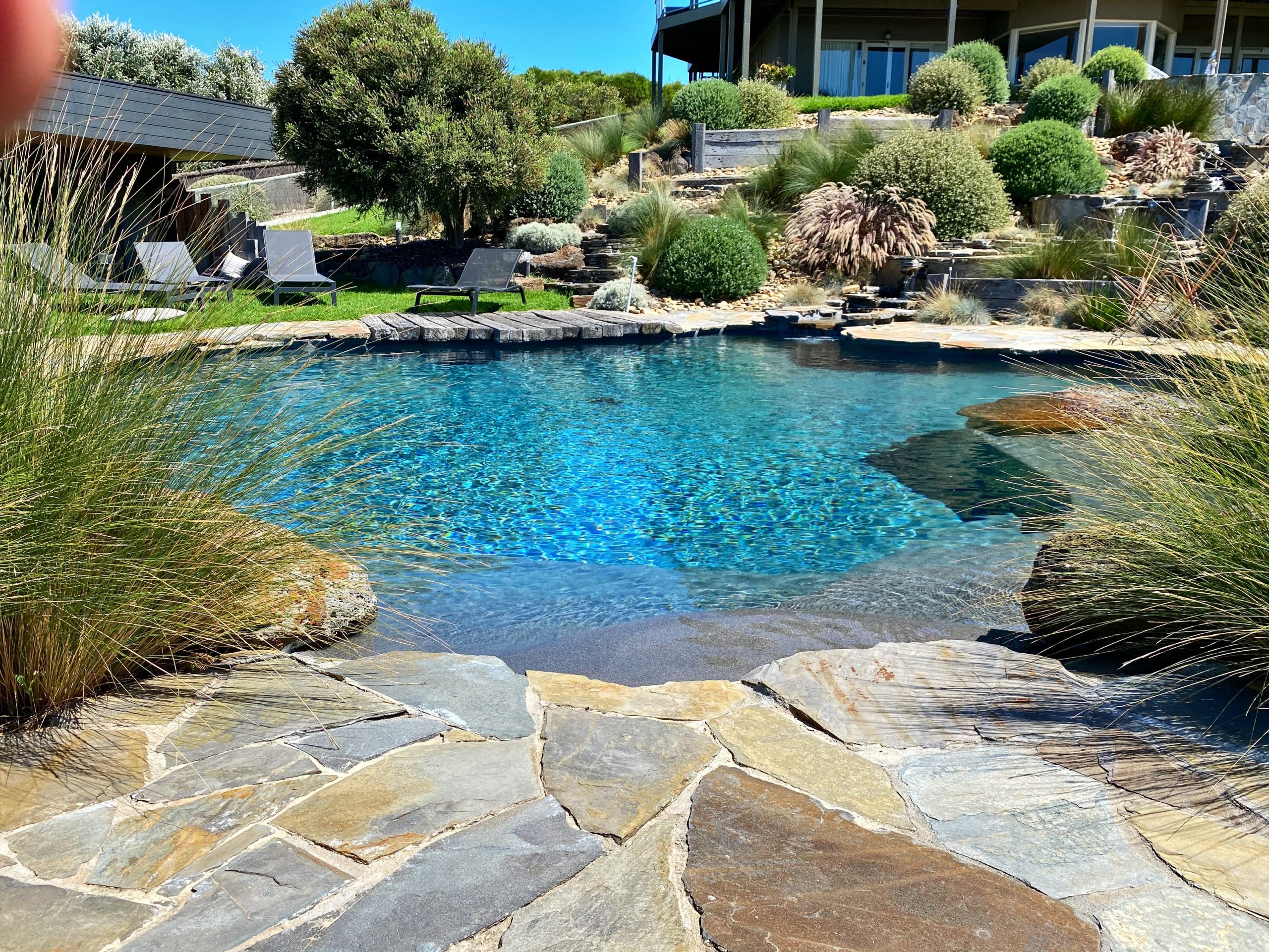 Gorgeous curved pool surrounded by stone paving and a wonderful garden — a true backyard oasis